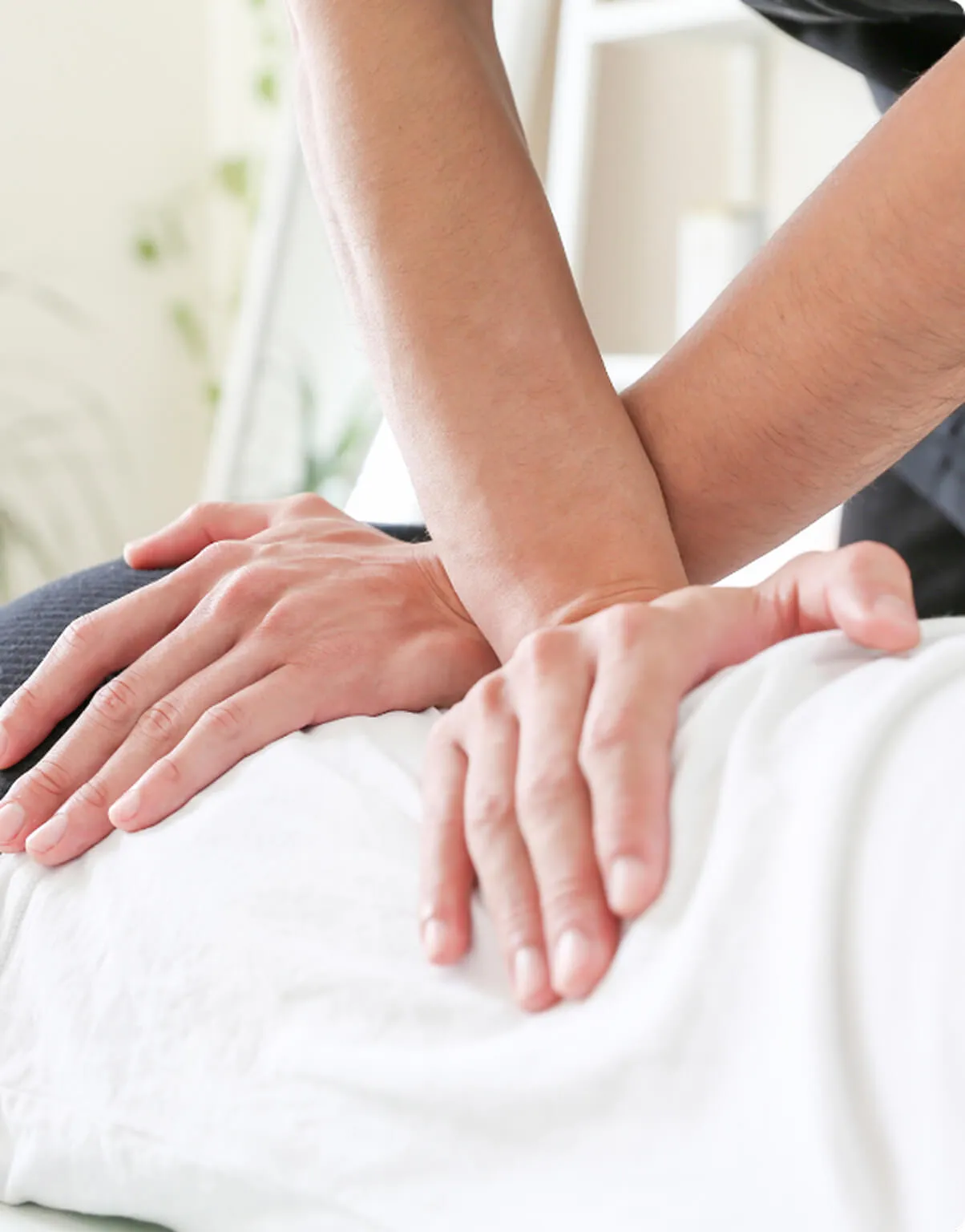 整体の様子の画像